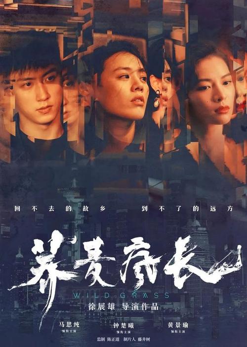 达文波特大学成绩单电子图